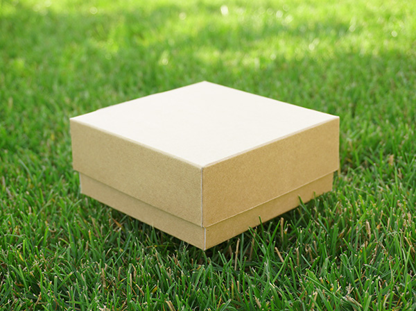 Экологичность гофро-коробок